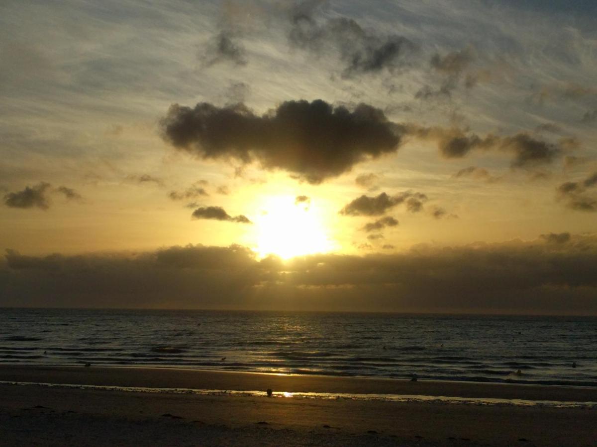 "Le Cocon D'Estelle" Grand Studio Vue Mer, 30M De La Plage วิลเลร์-ซูร์-แมร์ ภายนอก รูปภาพ